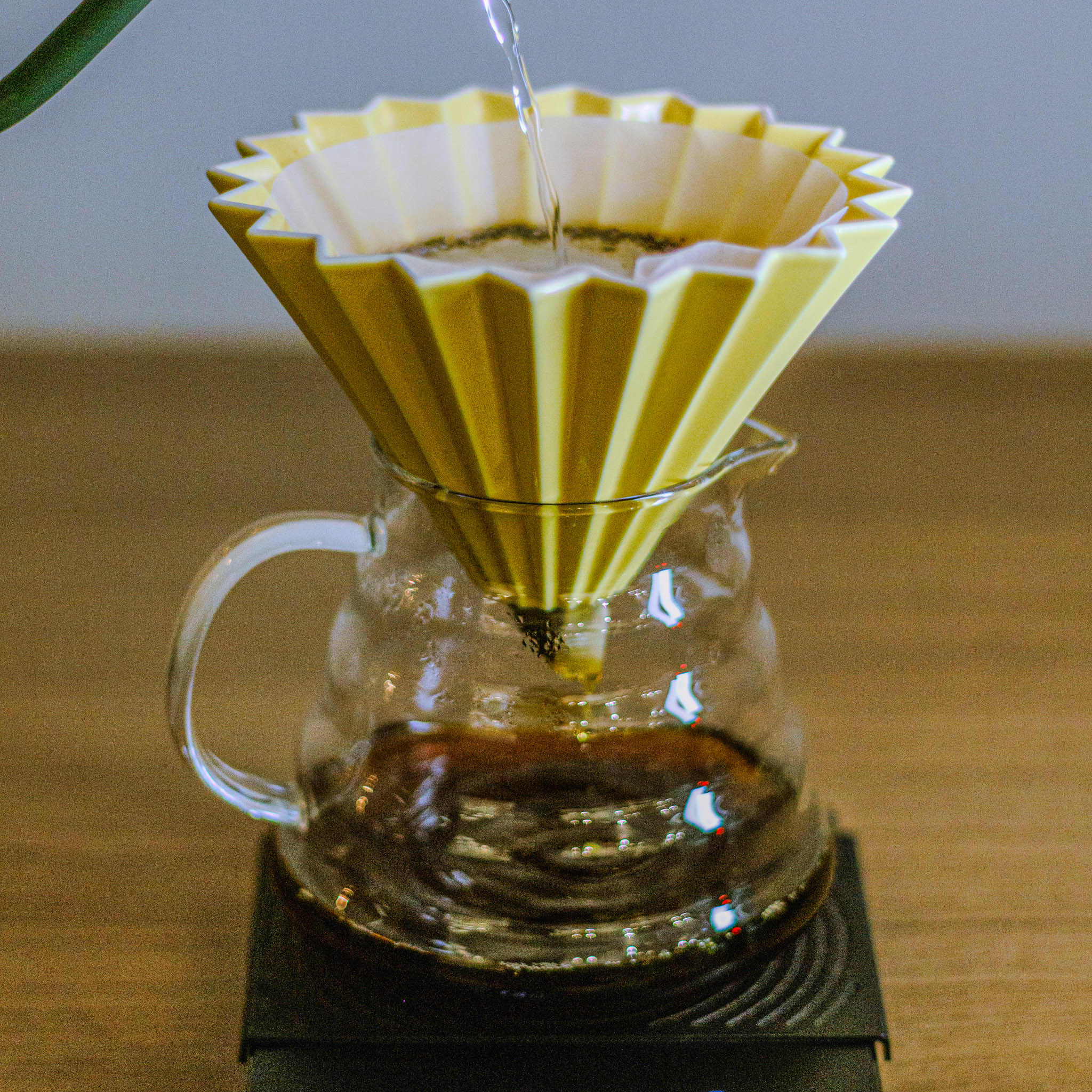 detalhe do preparo de café no gatito